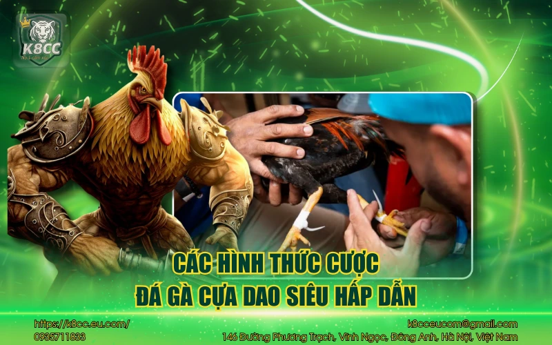 Các hình thức cược đá gà cựa dao siêu hấp dẫn