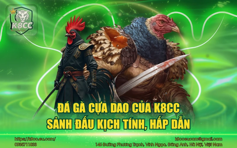 Đá gà cựa dao của K8CC - Sảnh đấu kịch tính, hấp dẫn