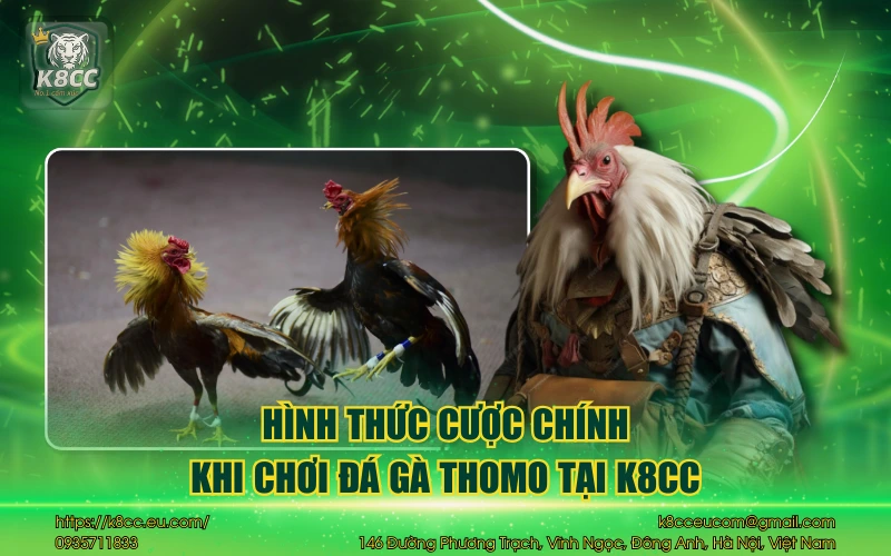 Hình thức cược chính khi chơi đá gà Thomo tại K8CC