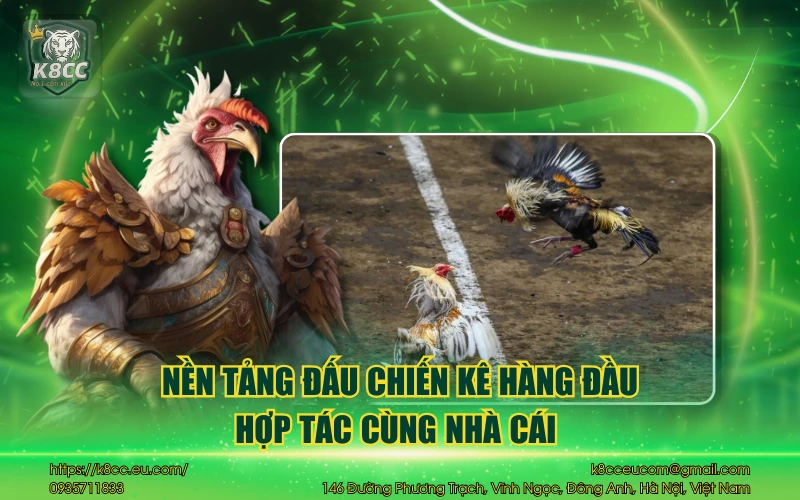 Nền tảng đấu chiến kê hàng đầu hợp tác cùng nhà cái