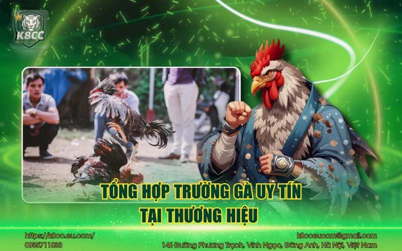 Tổng hợp trường gà uy tín tại thương hiệu